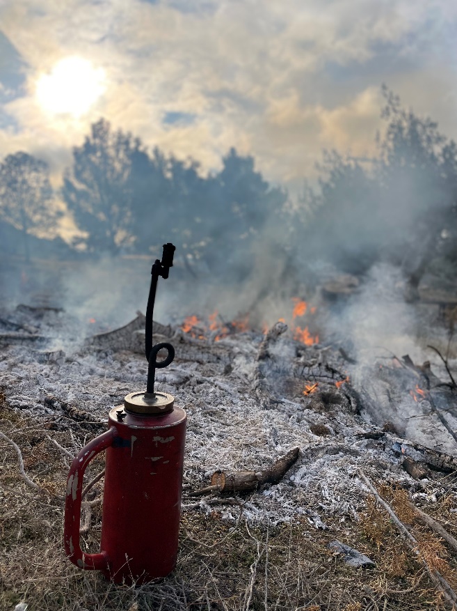 SQF Prescribed Fire Burning Season Commences