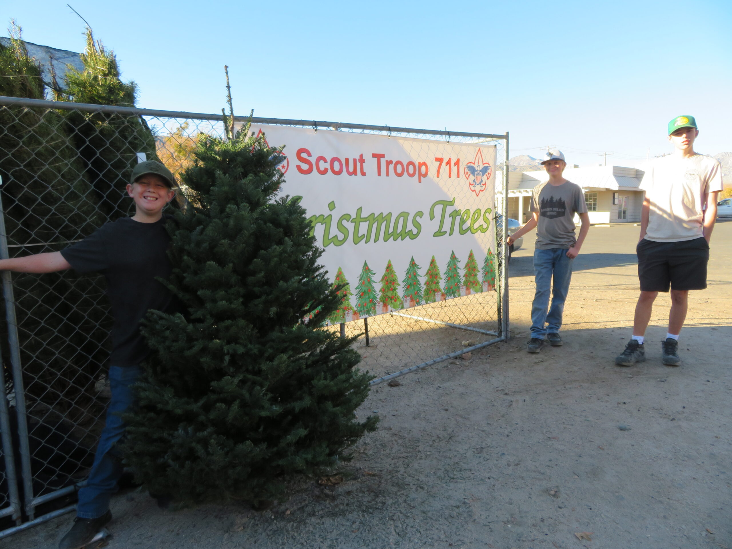 Boy Scouts selling Christmas trees